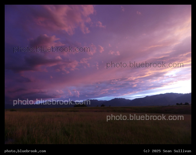 Raspberry Sunset - Corvallis MT