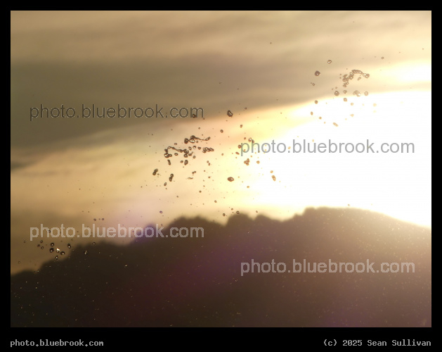 Sprinkler at Sunset - Corvallis MT