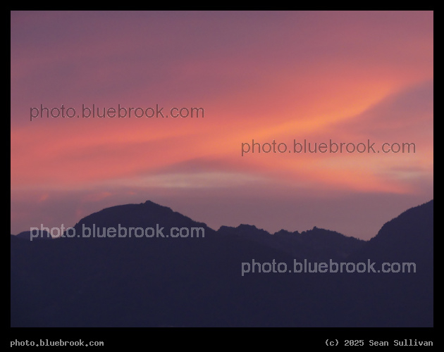 Sweep of Pink - Corvallis MT