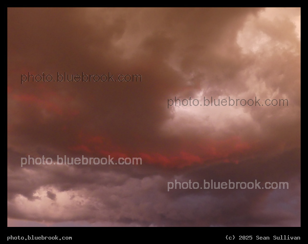 Pink Highlights - Corvallis MT