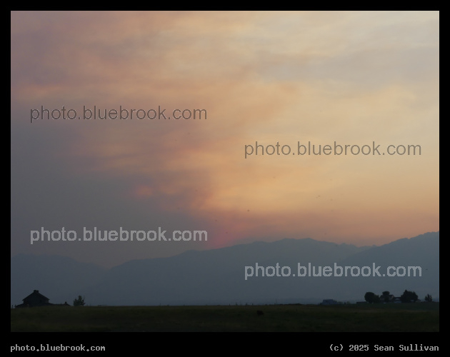 Opalescent Smoke - Corvallis MT