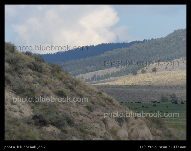 Shades of the Hillside - Corvallis MT