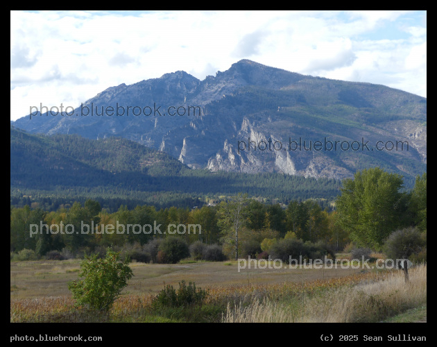 Blodgett across an October Meadow - Hamilton MT