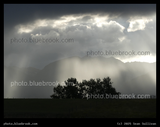 Sunbeam behind the Trees - Corvallis MT