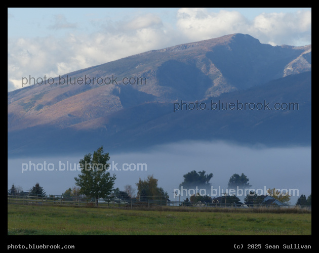 Trees and Homes in Valley Fog - Corvallis MT