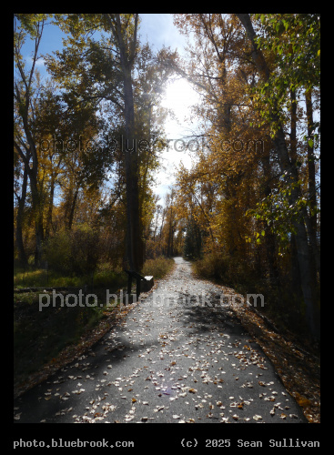 Sunlit Autumn Path - Lee Metcalf National Wildlife Refuge, Stevensville MT