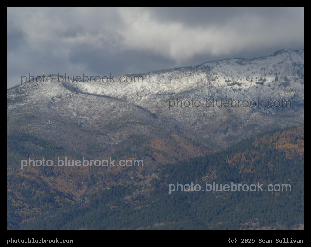 Texture in Autumn Mountains - Corvallis MT
