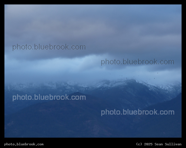 Blue Light on the Mountains - Corvallis MT