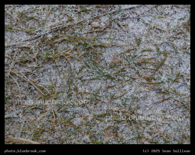 Dusting in December - Corvallis MT