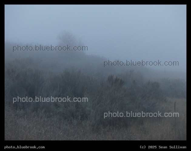 Afternoon Fog I - Corvallis MT