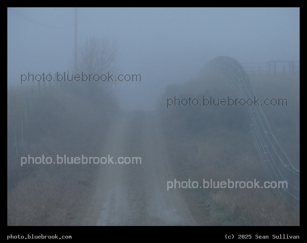 Afternoon Fog V - Corvallis MT