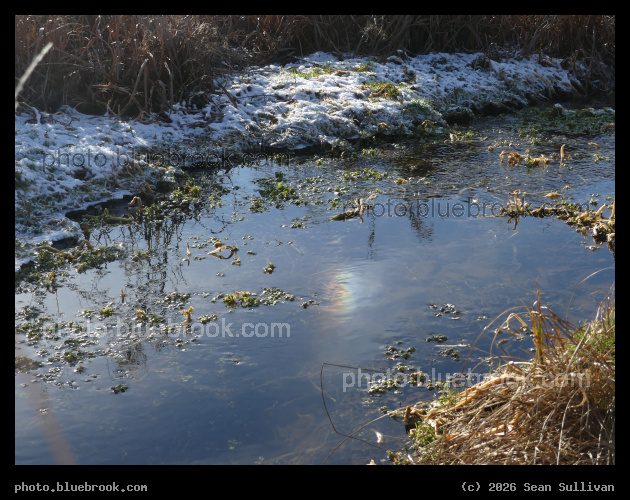 Winter Sundog Reflection - Corvallis MT