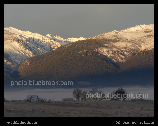 Winter Morning - Corvallis MT