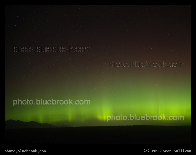 Patches of Green Glow - Corvallis MT