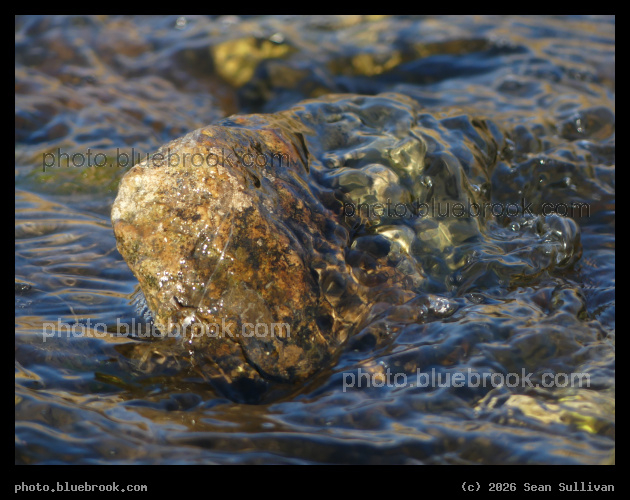 Rock and Flowing Stream I - Corvallis MT