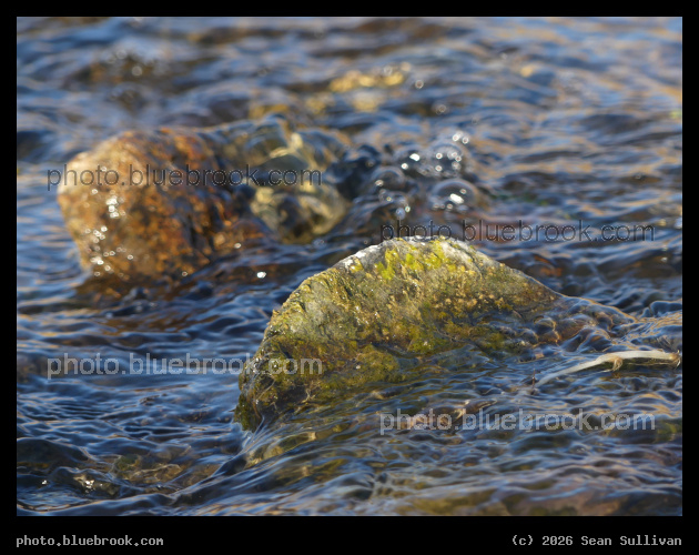 Rock and Flowing Stream II - Corvallis MT