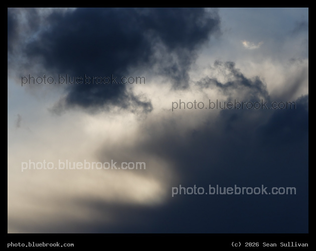 Gray February Afternoon - Corvallis MT