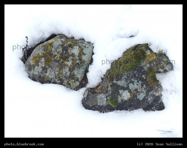 Snow and Stone III - Corvallis MT