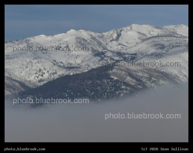 Morning Fog in Spring - Corvallis MT