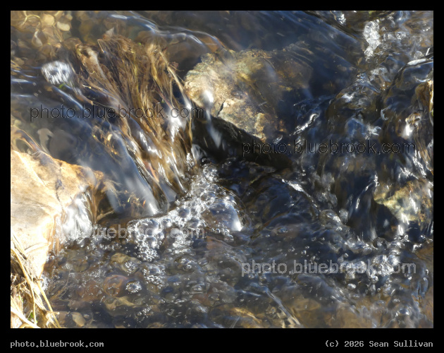 Sunlight on a Flowing Stream - Corvallis MT