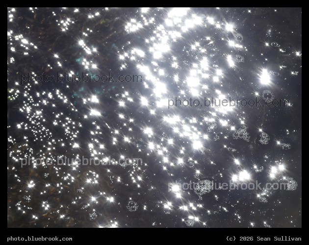 Sparkle and Bubbles - Sun reflected in a stream, Corvallis MT