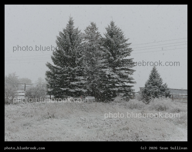 Spring Blizzard - Corvallis MT