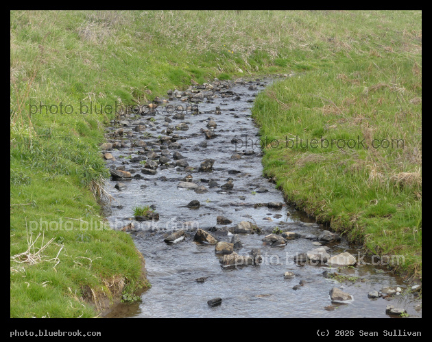 Stream Coming into View - Corvallis MT