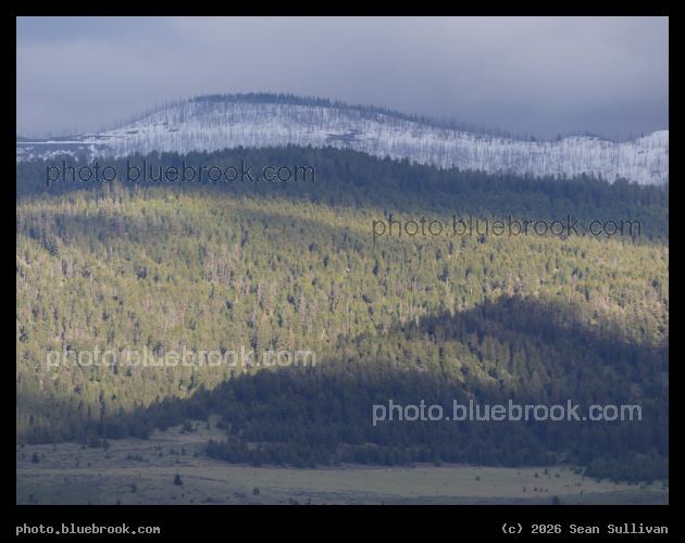 Sunbeam on Green Hills - Corvallis MT