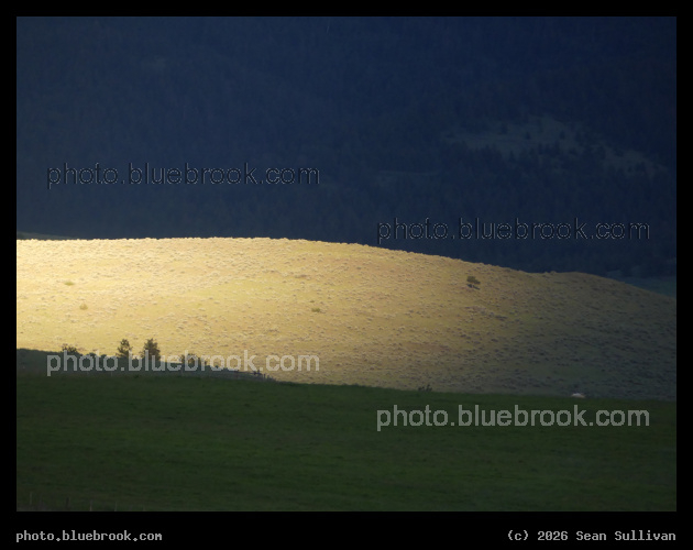 Glowing Hill - Corvallis MT