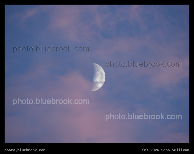 Waxing Moon with Pink Clouds - Corvallis MT