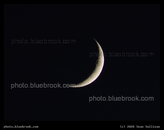 Craters on a Crescent Moon - Mare Crisium on the day/night boundary, Corvallis MT