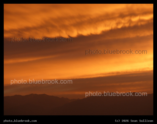 Orange Turbulence - Corvallis MT