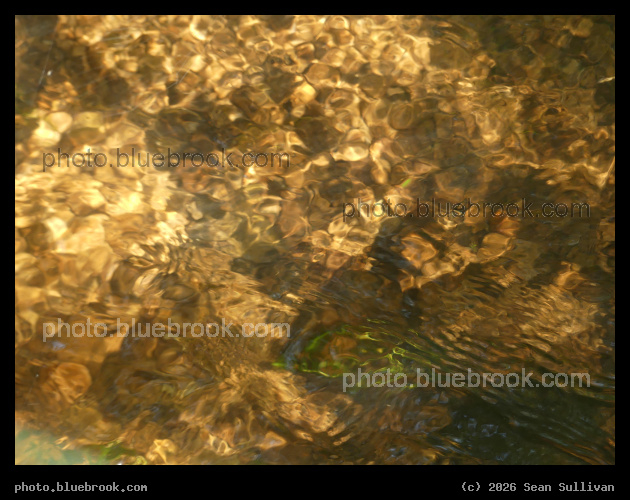 Golden Light on Stream Ripples - Corvallis MT