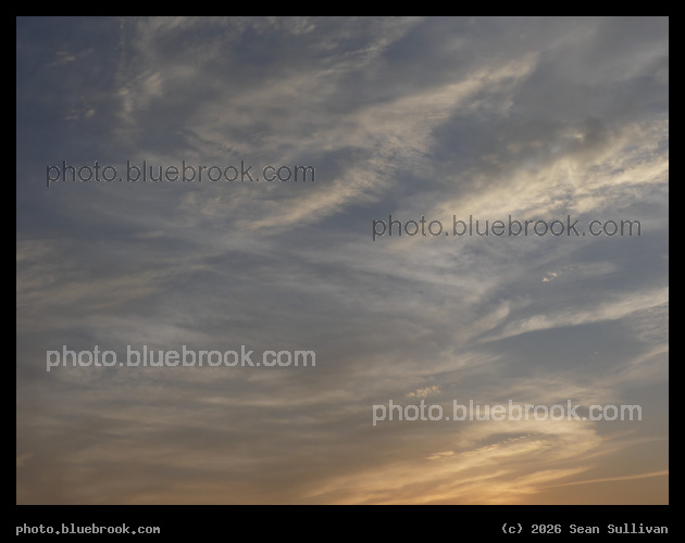 Evening Wisps - Corvallis MT