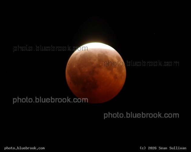 Almost Total - Partial lunar eclipse falling just short of totality, Corvallis MT